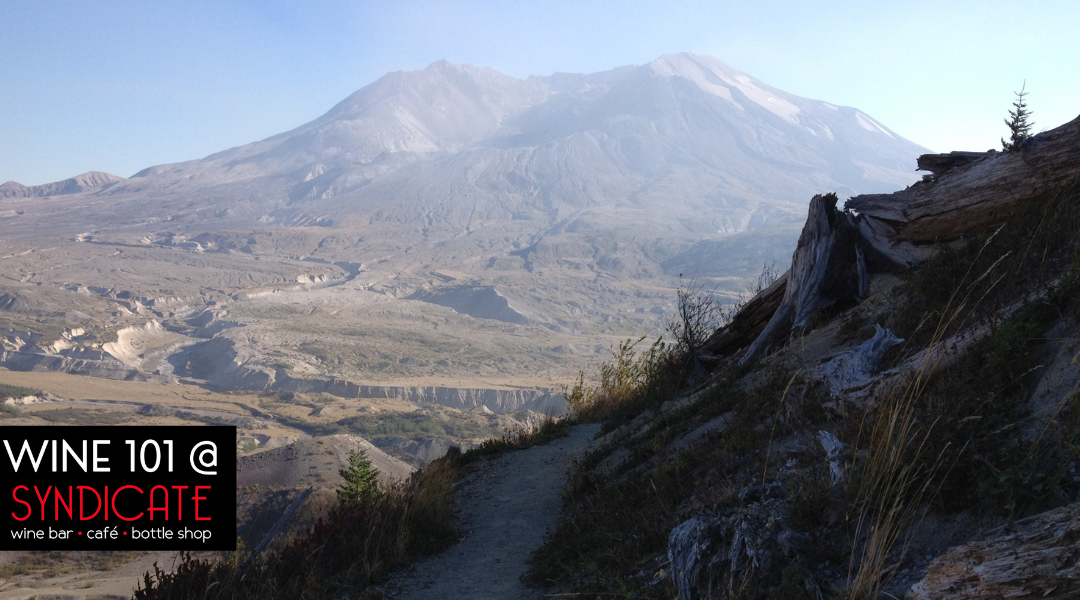 Wine 101: Apocalypse Wines